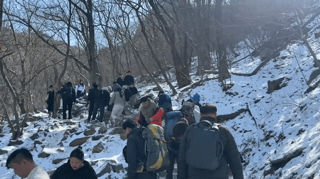 8일 오전 11시쯤 서울 관악구 관악산 등산로를 시민들이 오르고 있다. /이호준 기자