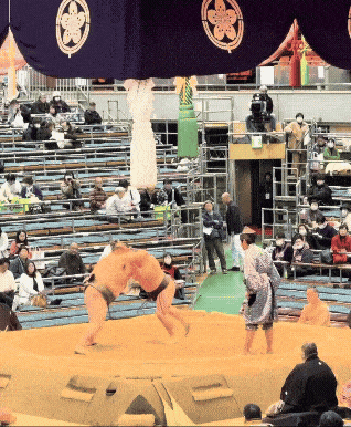 그랜드 스모 토너먼트 경기현장 / 사진= 문서연 여행+ 기자