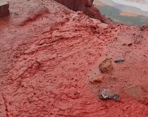 [인스타그램 갈무리]