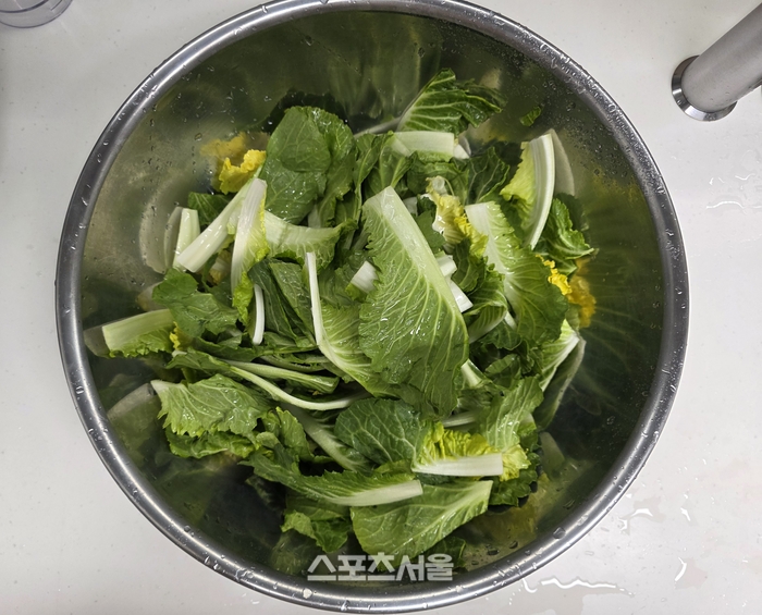 노란 수영복에 섹시한 몸매 어필하는 존예 처자