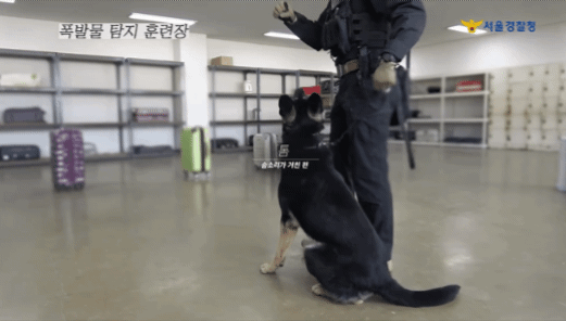 자료 경찰청 유튜브 *재판매 및 DB 금지