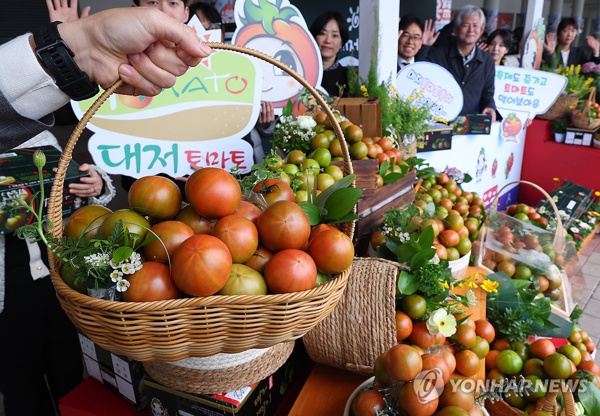 짭짤이' 대저토마토 축제 놀러오세요