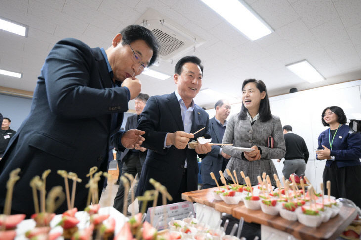 논산 딸기(쑥스초코파이)