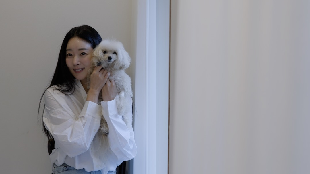 引用：写真