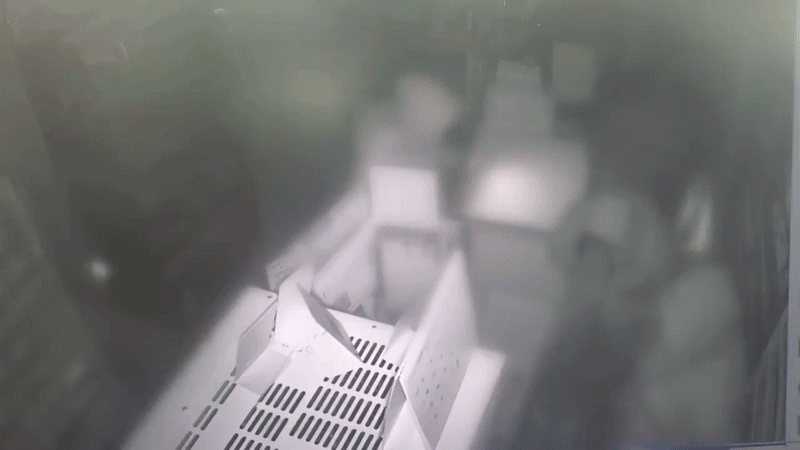 지난 10일 새벽, 편의점에서 현금 등을 훔치는 중학생 (화면제공 : 시청자)