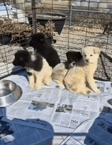 어린 시절 보호소에 입소한 솔유의 모습(맨 오른쪽, 인스타그램 daybreak1997 제공) ⓒ 뉴스1