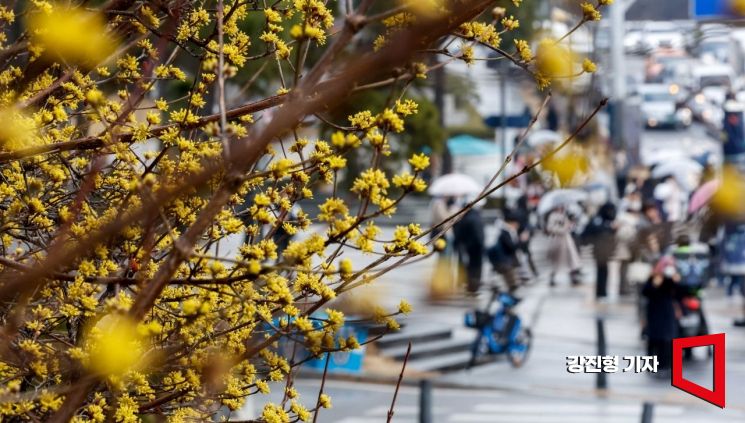 [내일날씨]낮 20도 안팎 포근…남부·제주 비, 일교차 20도