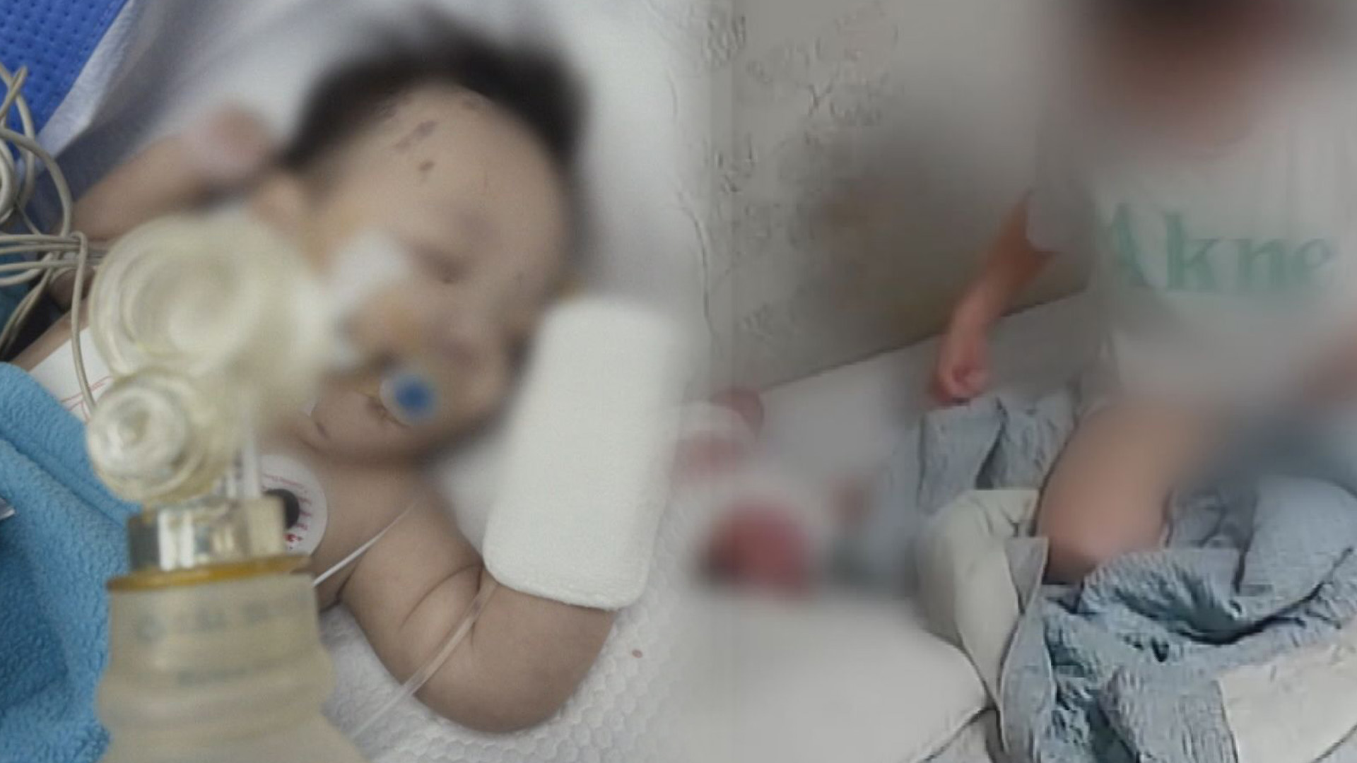 3. 법정 앞 200여 개 근조 화환의 의미