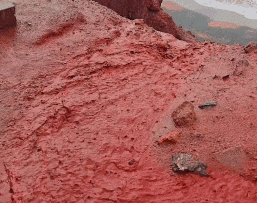 문제는 블러드 레인에 포함된 미세 입자가 건강에 부정적인 영향을 줄 수 있다는 점이다./사진=인스타그램 갈무리