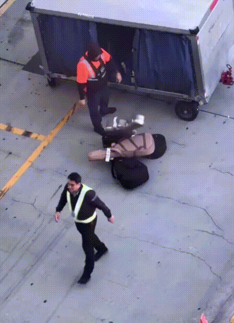 [서울=뉴시스]미국 로스앤젤레스 국제공항(LAX)의 공항 직원이 수하물로 부쳐진 고가의 기타를 활주로에 거칠게 던지는 모습이 포착돼 논란이 일고 있다. (영상=틱톡 갈무리) *재판매 및 DB 금지