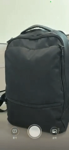 비주얼 인텔리전스로 배낭을 검색해봤다./영상=이찬종 기자