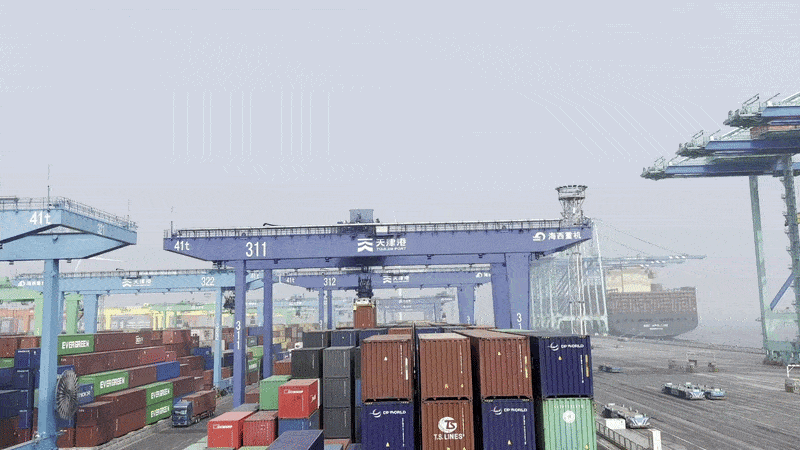 26일 중국 톈진항 제2컨테이너터미널에서 각 구획에 설치된 야드크레인이 컨테이너 적재 작업을 위해 분주히 움직이고 있다. 톈진=정다은 특파원