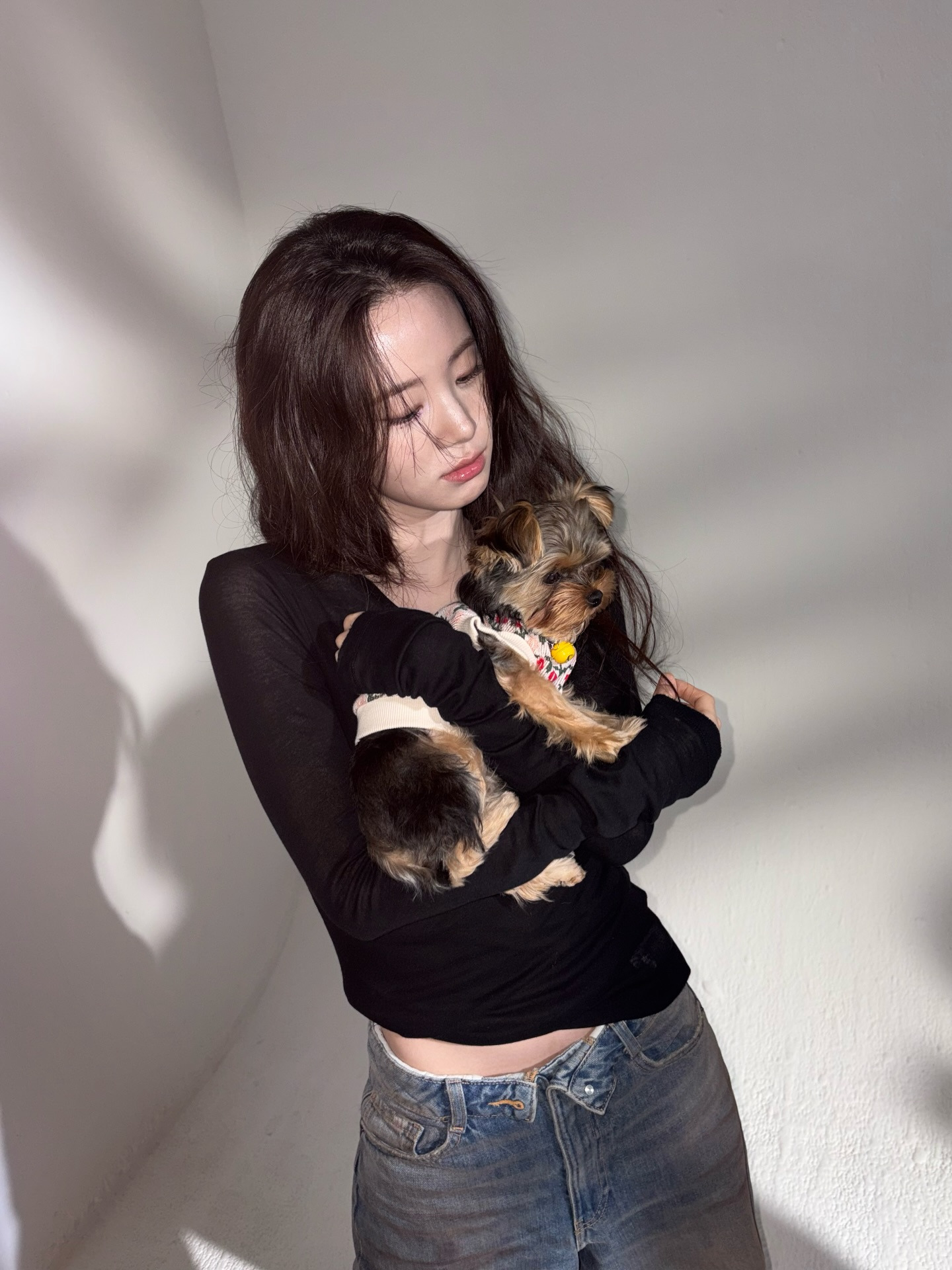 引用：写真, SNS