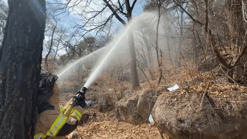 지난 19일 서울 관악구 신림동 독산자연공원 인근 야산에서 소방대원들이 화재 진압 훈련을 하고 있다. /이호준 기자