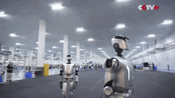 영상=중국 CCTV 유튜브