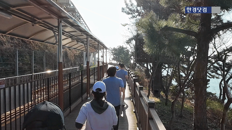 선라이즈 바이탈리티 런 X 뷰오리 프로그램 참가자들이 해안 데크길을 따라 달리고 있다. 영상=신용현 기자.