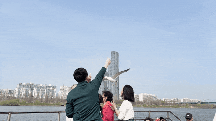 봄꽃 동행 무장애 투어 한강 유람선 / 사진= 문서연 여행+ 기자