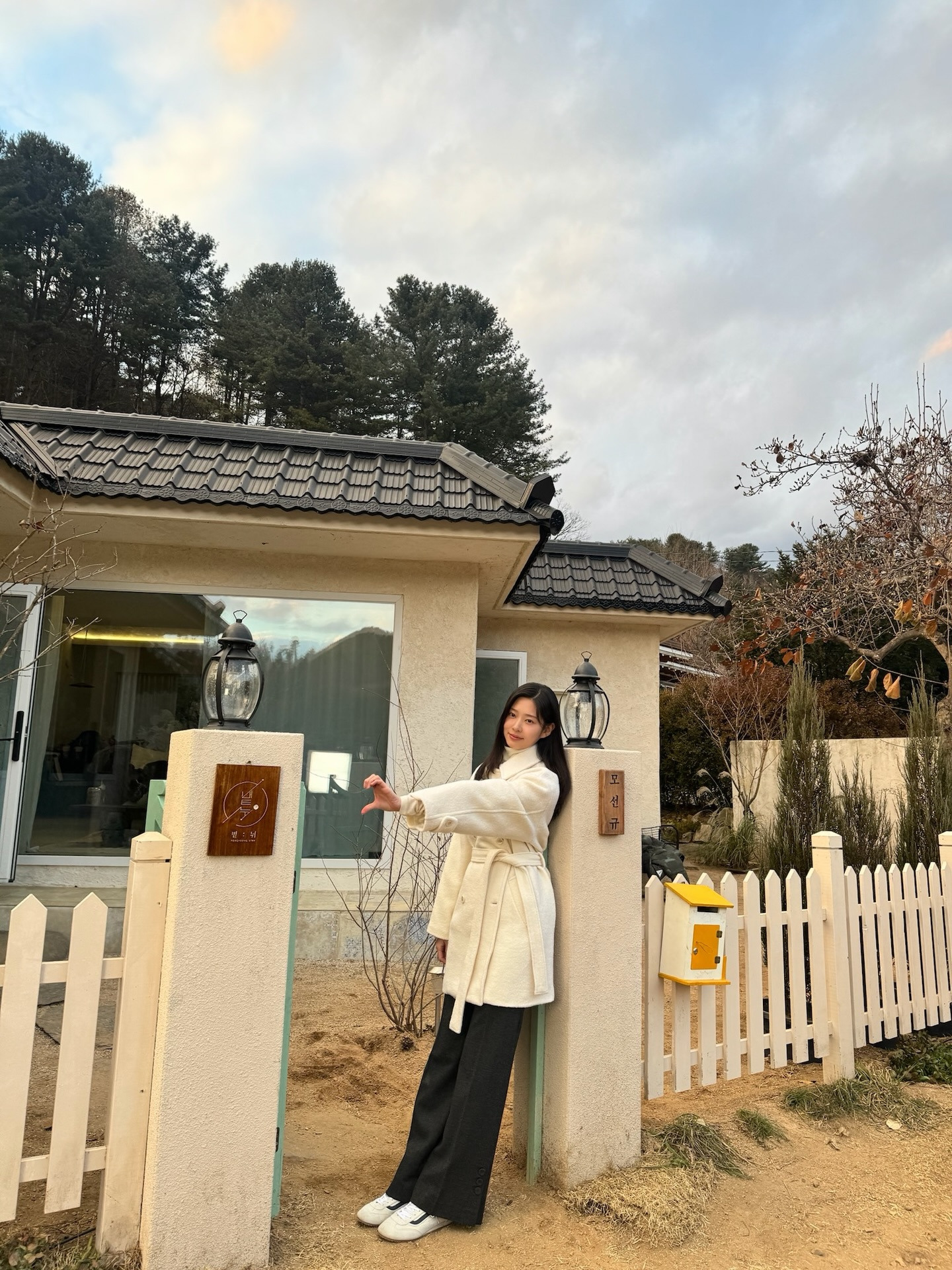 引用：報道資料