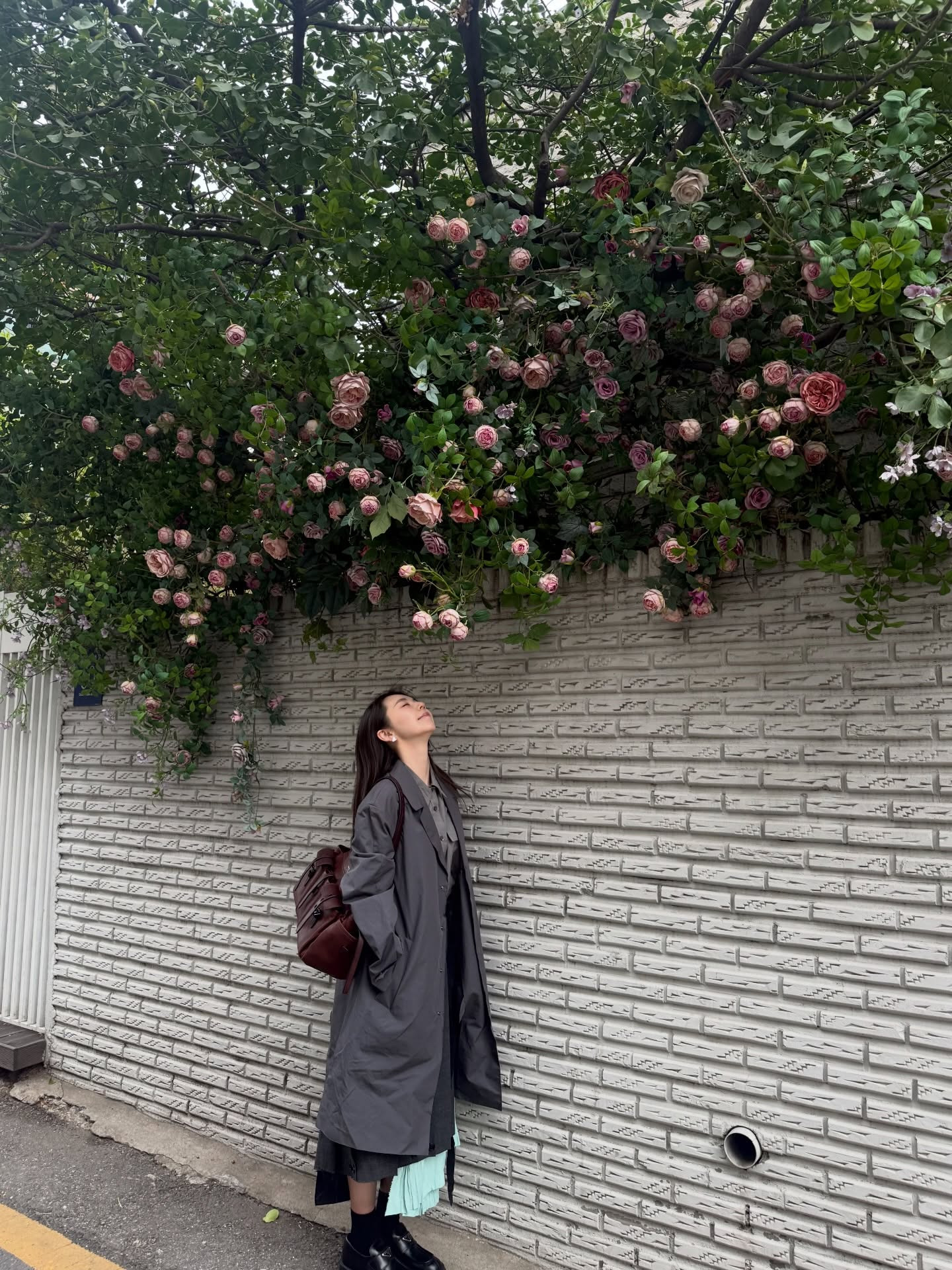 &nbsp; Photo
