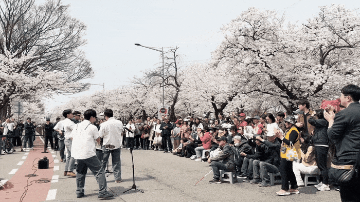 2026 영등포 여의도 봄꽃축제 / 사진= 문서연 여행+ 기자