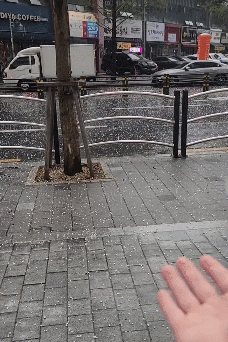 스레드 @shindonggon [사진=스레드 캡처]