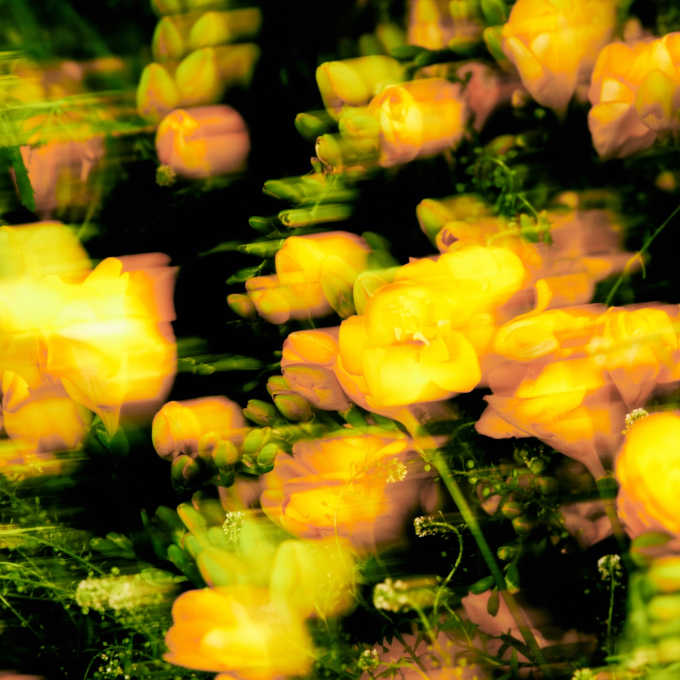 노란 수영복에 섹시한 몸매 어필하는 존예 처자