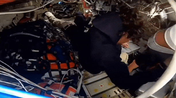 아르테미스 2호 영상에 등장한 누텔라. /NASA