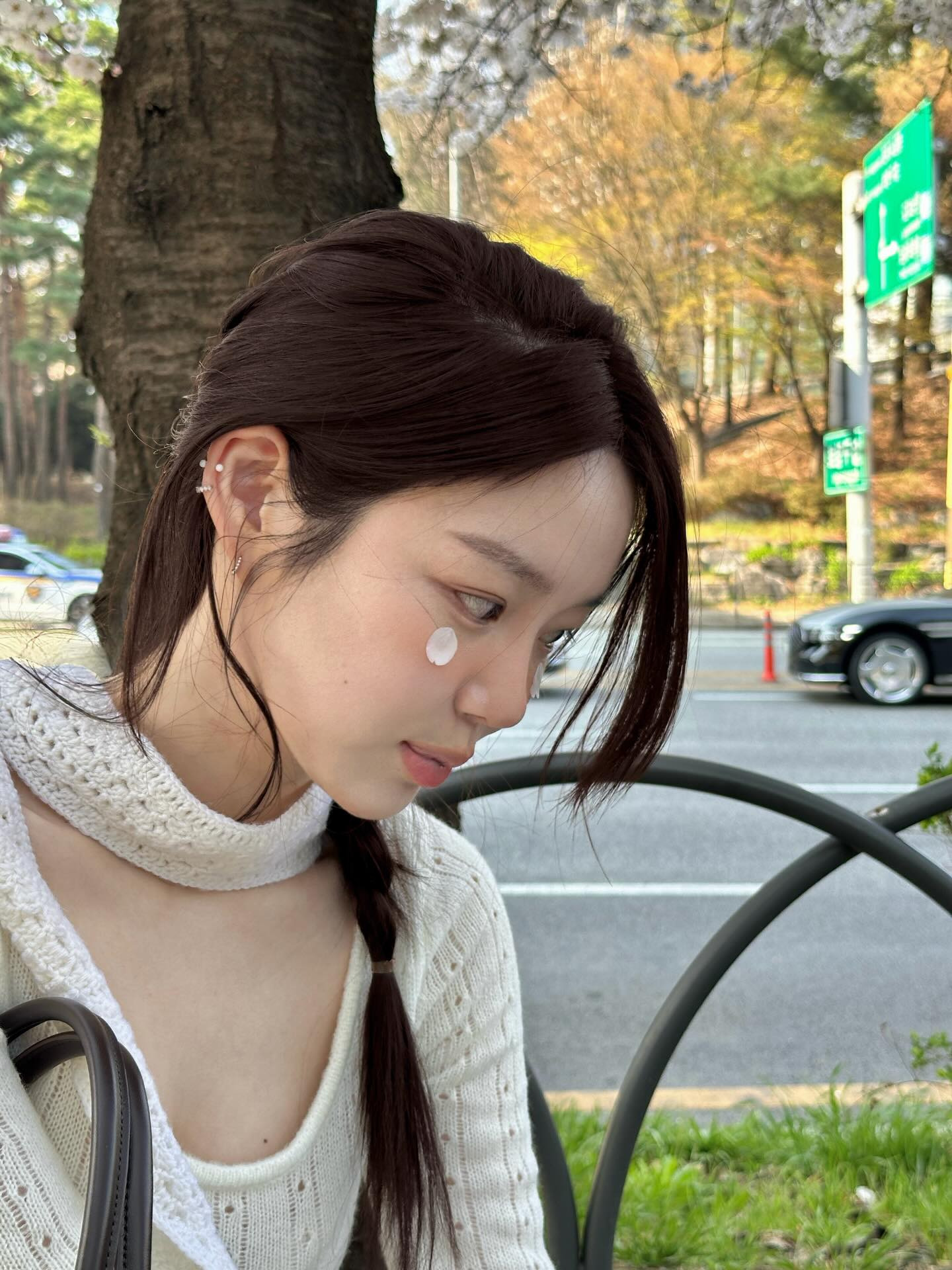 引用:写真