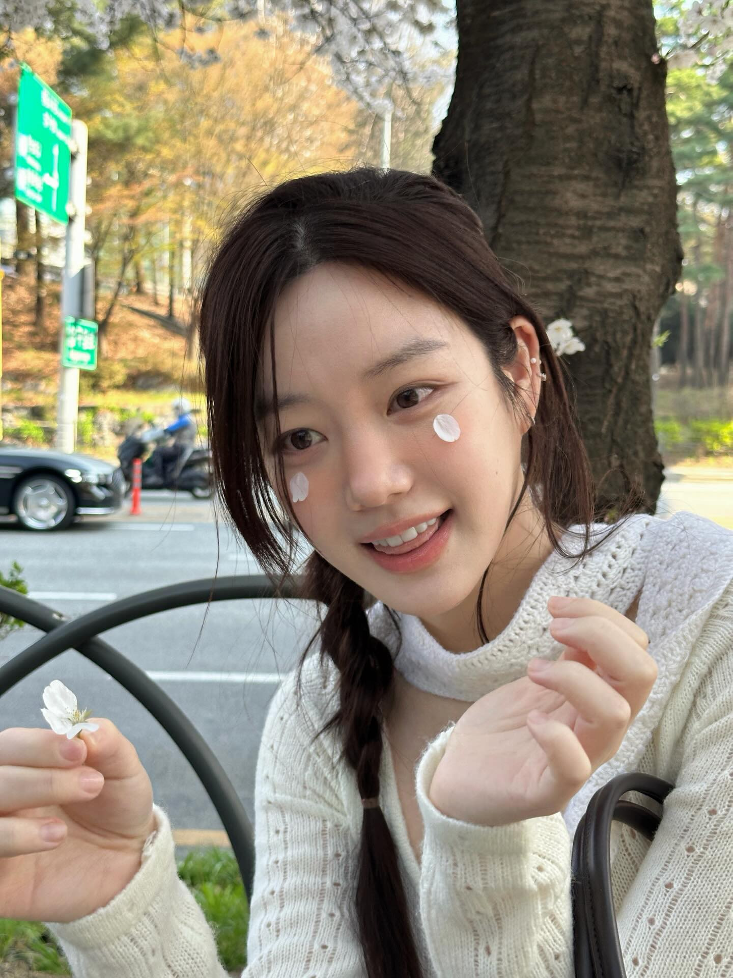 引用:写真