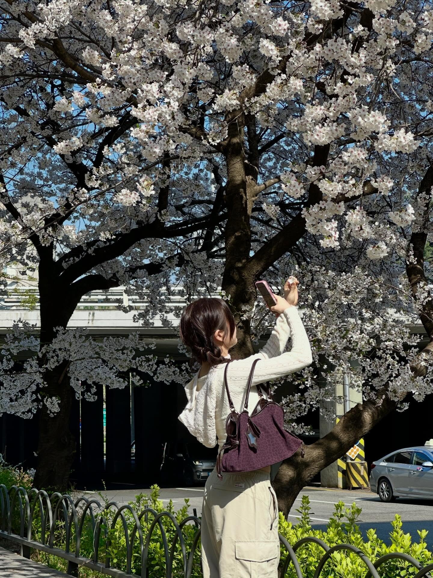 引用:写真, SNS