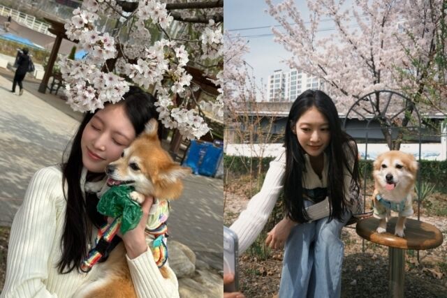 노란 수영복에 섹시한 몸매 어필하는 존예 처자