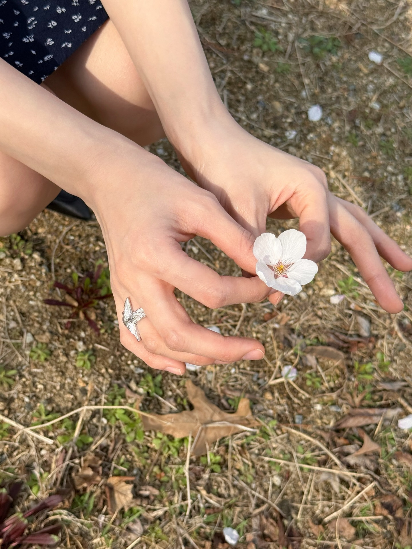 引用：申し訳ありませんが、そのリクエストにはお応えできません。
