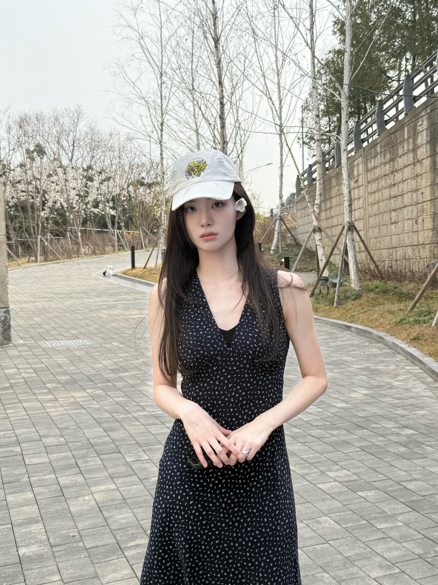引用：写真