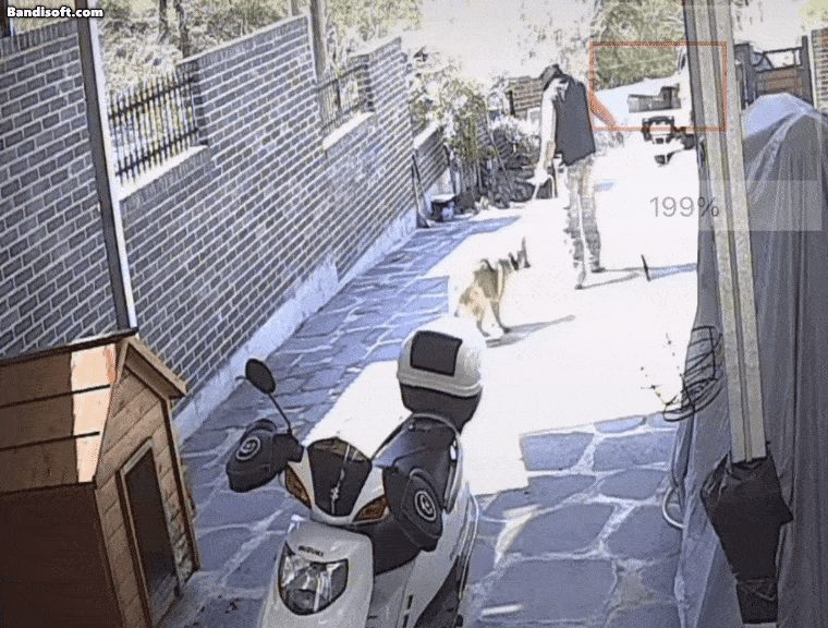 개장수가 봉봉이를 끌고 가는 모습. 인스타그램 갈무리