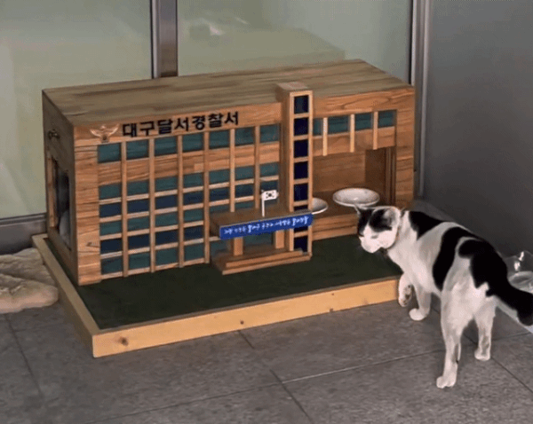 대구달서경찰서에 설치된 길고양이 급식소(대구고양이보호연대 제공) ⓒ 뉴스1