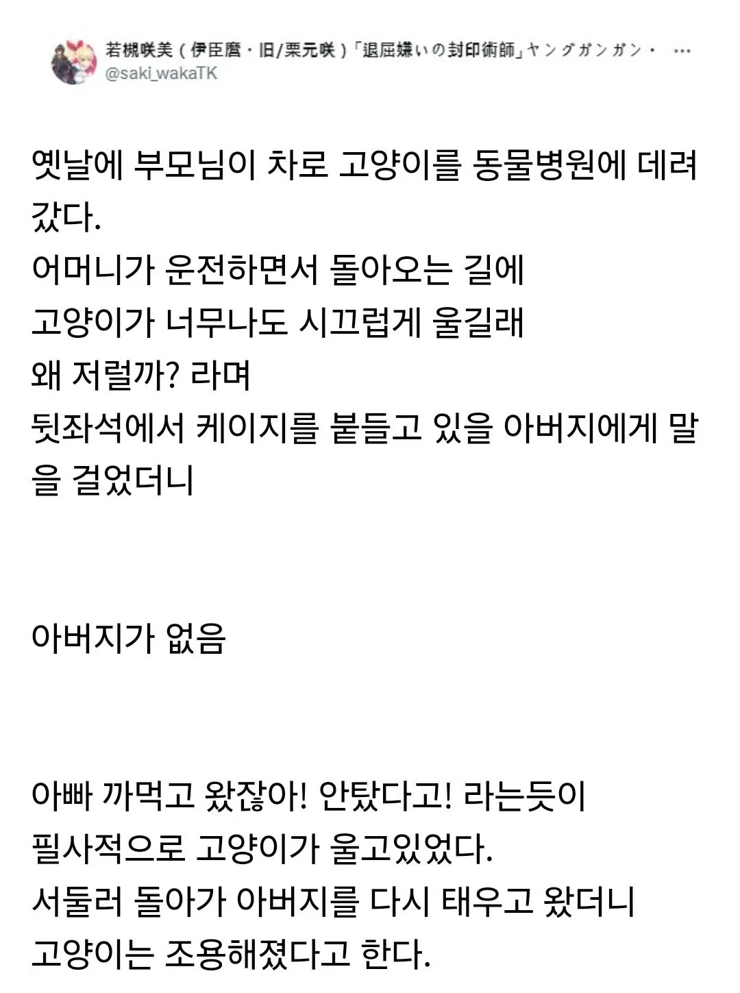 동물병원 다녀온 고양이가 울었던 이유 | 인스티즈