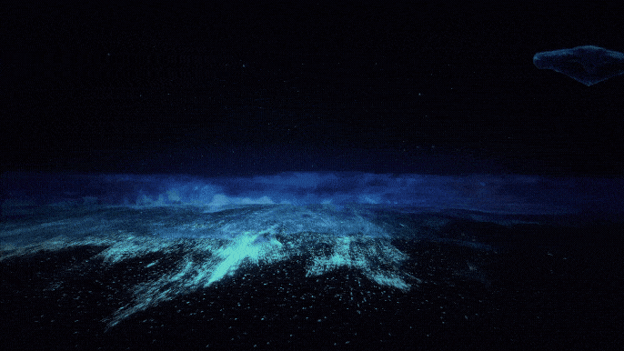 아르떼뮤지엄 강릉/사진=김지은 여행+ 기자