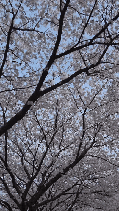 갤럭시 S26 울트라 ‘수평 고정 슈퍼스테디’ 모드 촬영 영상. 촬영 중 스마트폰을 가로에서 세로 방향으로 돌려도 화면 수평이 유지돼 짐벌 없이도 안정적인 촬영이 가능하다. 손희정 기자 sonhj1220@