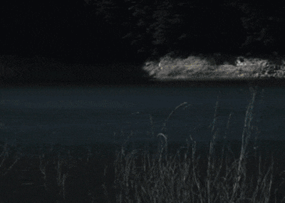 영화 살목지 예고편. /쇼박스 유튜브 캡처