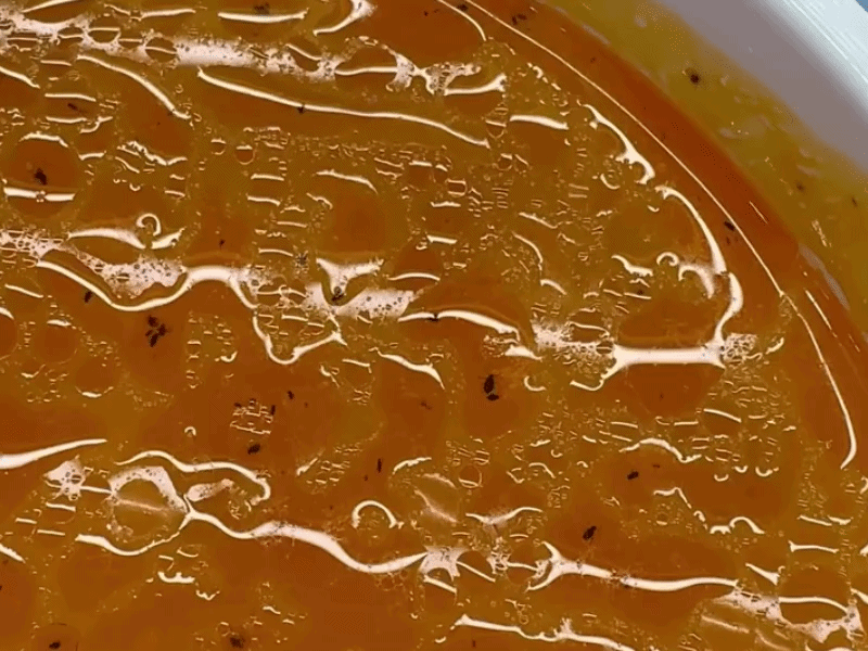 가족의 생일 맞아 샤브샤브를 식당을 찾았다가 국물 속에서 벌레 수십 마리를 발견했다는 사연이 공개돼 공분을 사고 있다. /사진=스레드(ryujiieun)