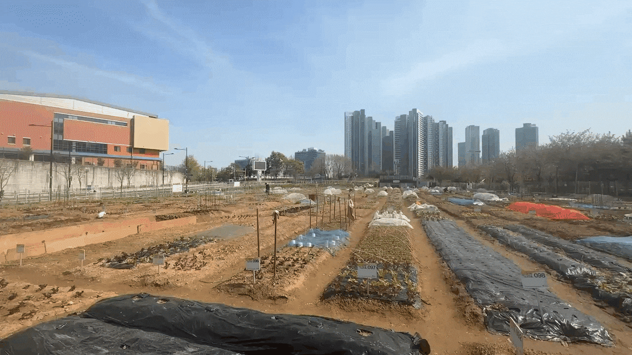 지난 13일 서울 성동구 무지개 텃밭에서 시민들이 경작하고 있다. /이호준 기자