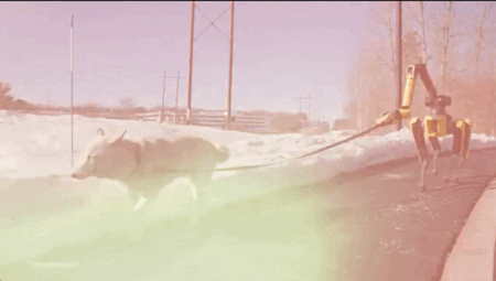 보스턴다이내믹스 유튜브 캡처