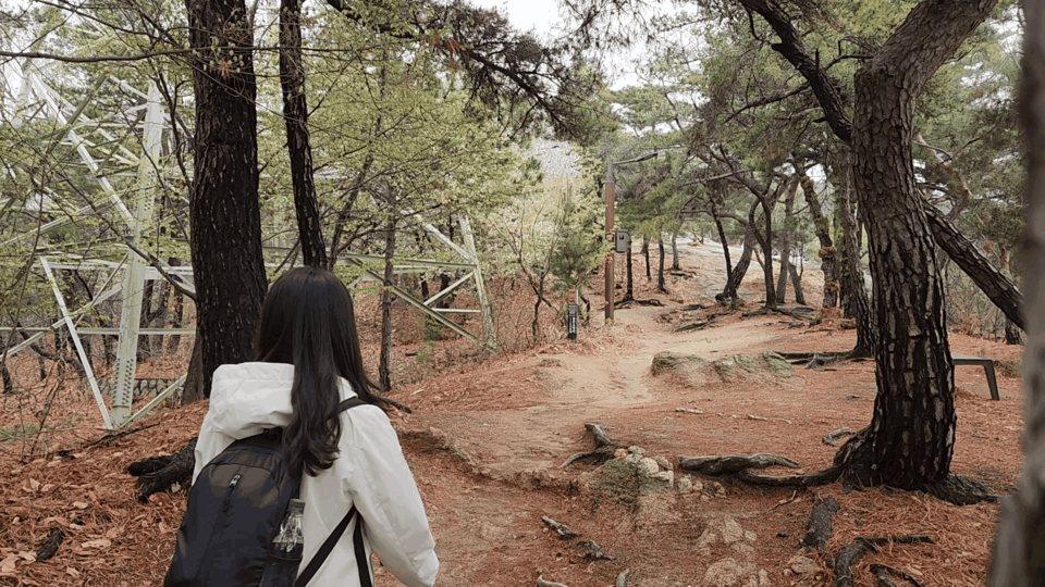 기자는 입구에서 고구려정을 거쳐 정상까지 향하는 루트로 산행을 감행했다. ⓒ데일리안 남가희 기자