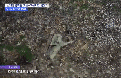 [대전소방본부]