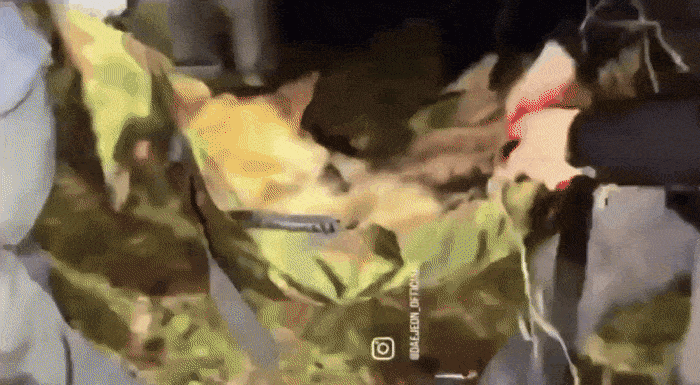 구조당국이 17일 오전 대전 중구의 한 수로에서 동물원을 탈출한 늑대 ‘늑구’를 잡아 이동하고 있다. 대전광역시 X(옛 트위터) 갈무리