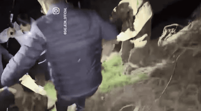 대전시 및 수색 당국이 지난 17일 늑구를 포획해 이동시키고 있다. (영상= 대전시 SNS)