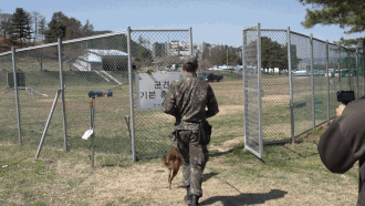 "군견병이 먼저 지친다멍!" 11살 두희는 현역 못지 않은 체력을 과시했다. 전병준 기자