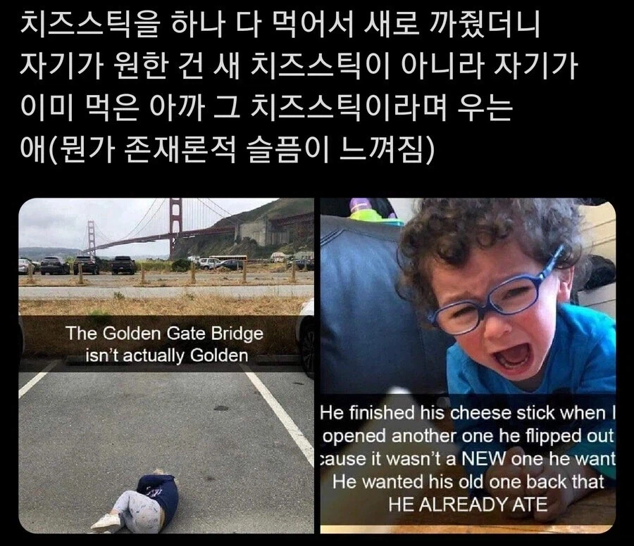 치즈스틱을 먹고 싶었던 꼬마.jpg | 인스티즈