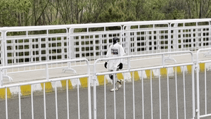 지난 18일 중국 베이징에서 휴머노이드 로봇 하프마라톤 대회 예선이 열리고 있다. (영상=이좡경제기술개발구)