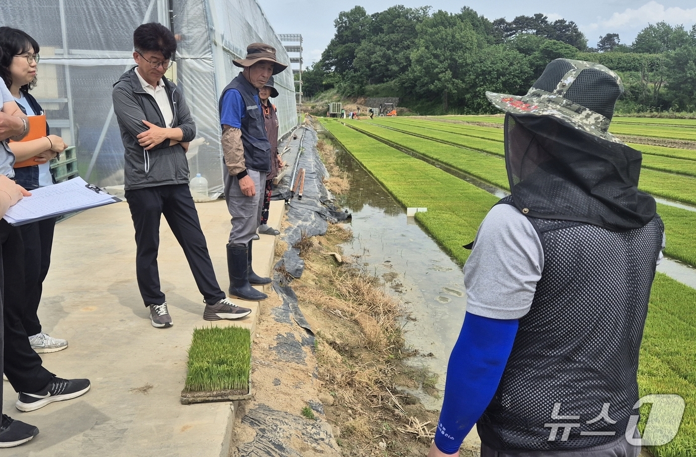 진천군, 벼 종자 발아율 저하 대응…못자리 현장 지도 강화